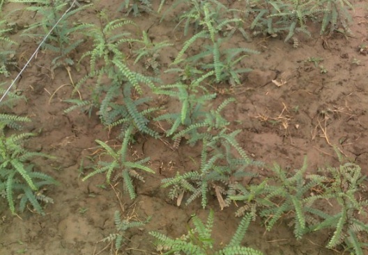 1630918714504906.jpg image.jpg