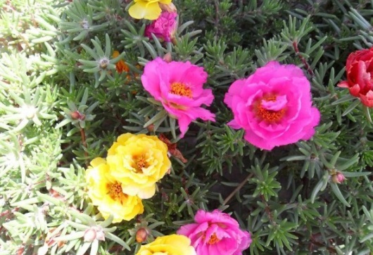 1630919516610496.jpg image.jpg