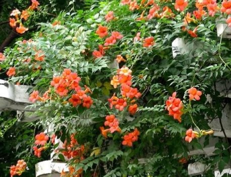 1630921746878048.jpg image.jpg