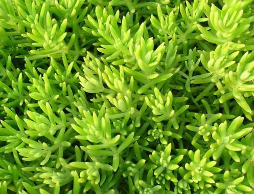 1630922957280965.jpg 1630922957280965.jpg