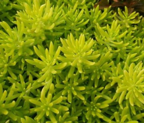 1630922966131572.jpg 1630922966131572.jpg