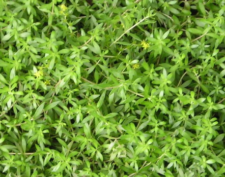 1630922977899789.jpg 1630922977899789.jpg