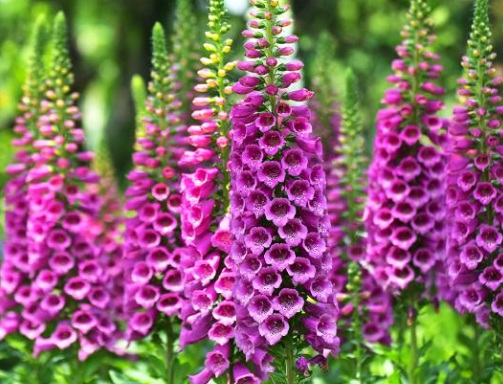 1631065774240163.jpg image.jpg