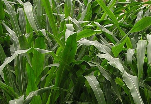 1631071680208480.jpg 1631071680208480.jpg