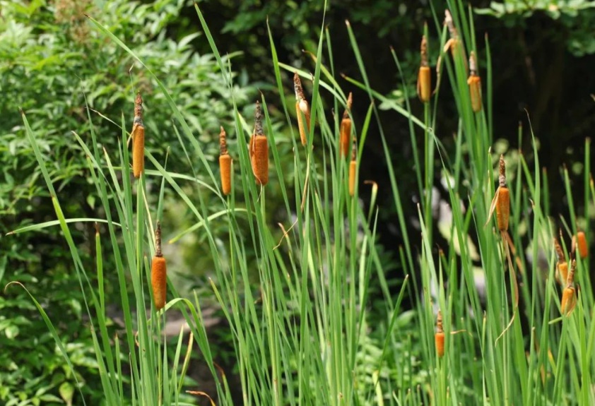 1631079605813530.jpg 1631079605813530.jpg