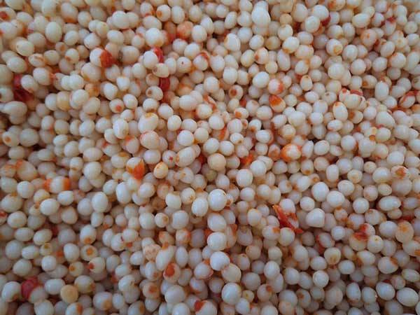 天麻種子圖片 天麻種子圖片