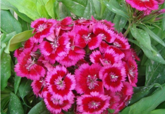 1631084290282288.jpg image.jpg