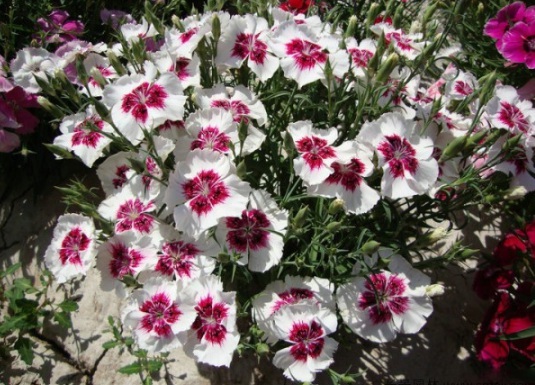 1631084299336163.jpg image.jpg