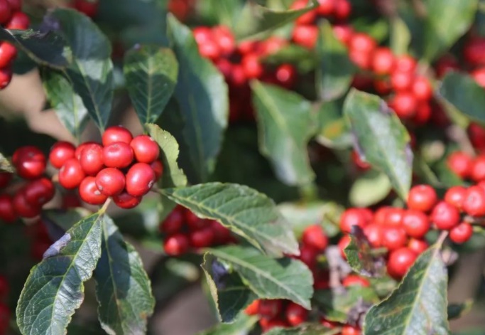 1631084824970744.jpg 1631084824970744.jpg