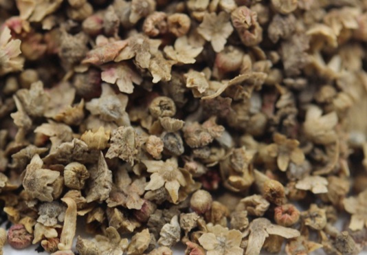 1631085101124241.jpg image.jpg