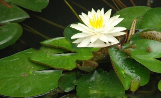 1631087290188035.jpg image.jpg