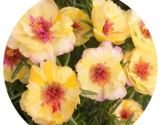 1631087621202659.jpg image.jpg