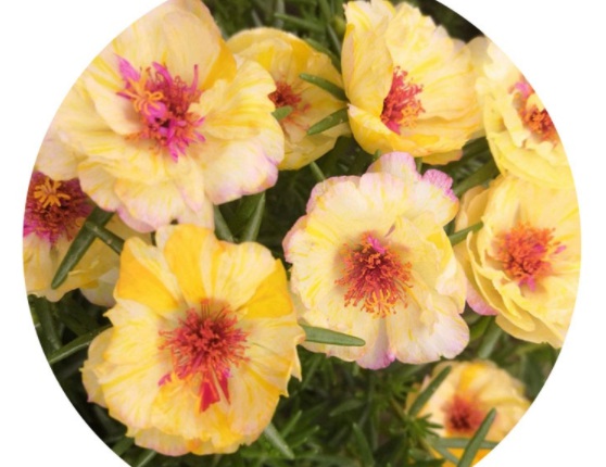 1631087812195273.jpg image.jpg