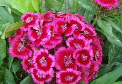 1631087933509942.jpg image.jpg