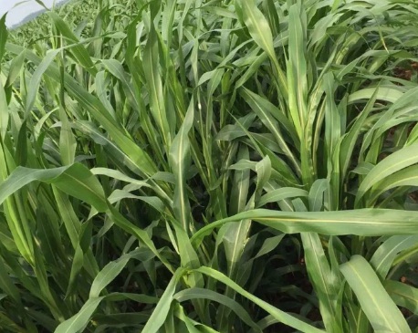 1631113430104189.jpg 1631113430104189.jpg