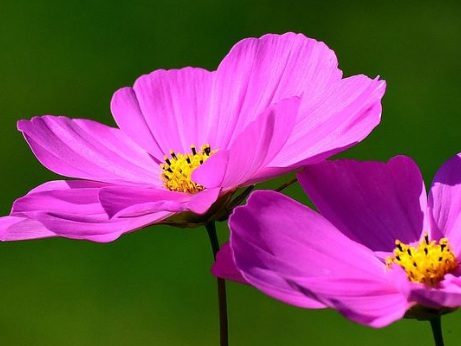 1631114059479552.jpg 1631114059479552.jpg