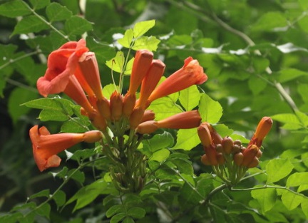 1631114905556912.jpg 1631114905556912.jpg