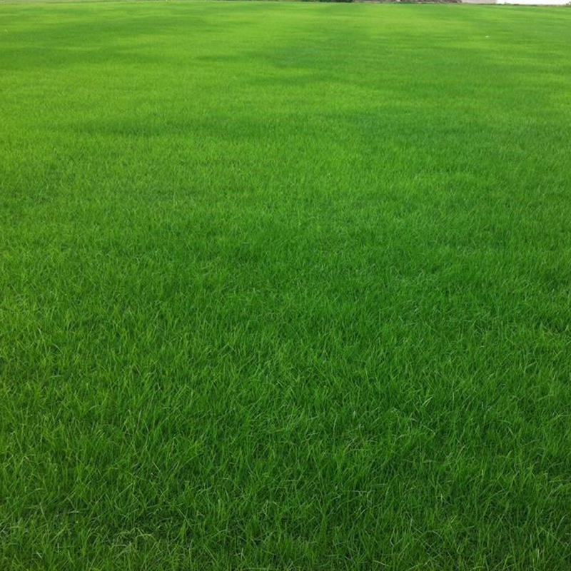 1631154243114843.jpg 1631154243114843.jpg