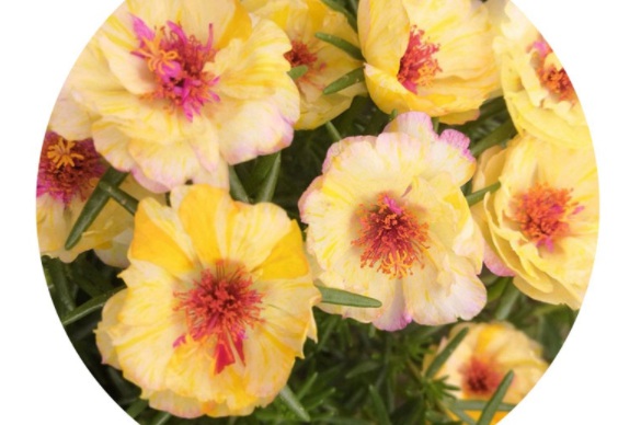 1631158848318987.jpg image.jpg