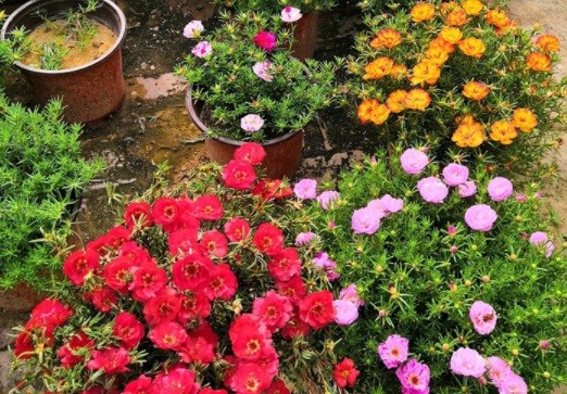 1631158857462871.jpg image.jpg