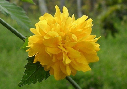 1631159501664230.jpg image.jpg