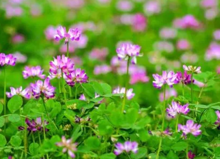 1631167074209430.jpg 1631167074209430.jpg