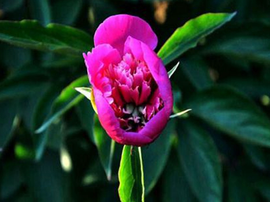 1611045054713647.jpg 160217911.jpg