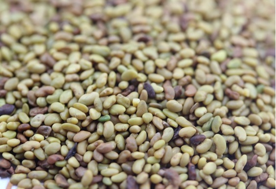 1631174909811510.jpg 1631174909811510.jpg