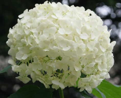 1631175210518941.jpg 1631175210518941.jpg