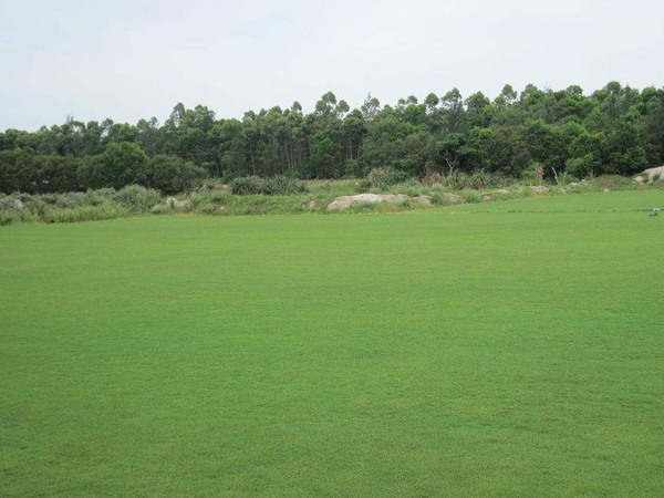 ??aè??é¢??§??-??????-?§???1?3?????§??¤?????·§