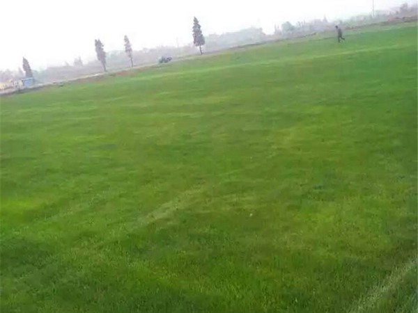 ??aè??é¢??§??-??????-?§???1?3?????§??¤?????·§