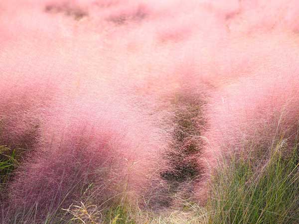 ?2?é???1±?-?è???§??-????è????oè????????