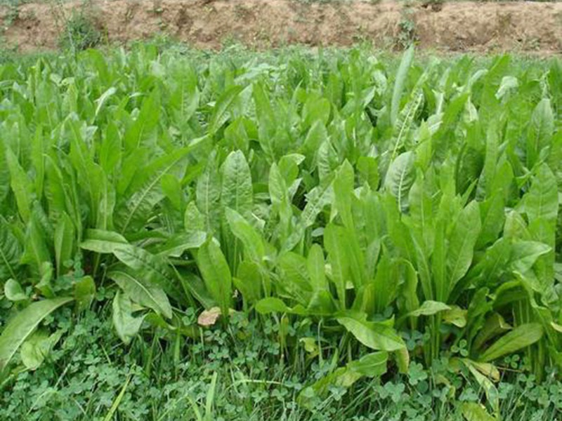 è????£è??è?£?§??-?