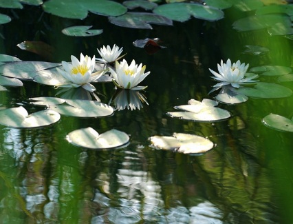 1631436002475902.jpg 1631436002475902.jpg