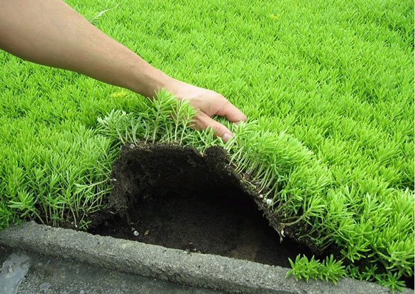 ?????2è???±?é??????????????