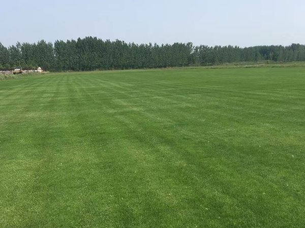 ????2-è??è????a??????