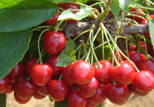 1631441567911723.jpg 1631441567911723.jpg