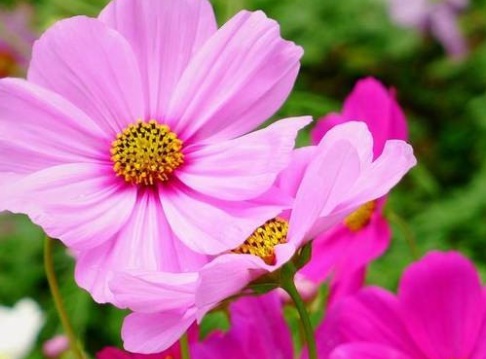 1631442151677508.jpg 1631442151677508.jpg