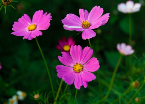 1631442174454374.jpg 1631442174454374.jpg