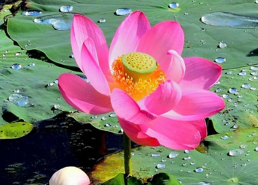 1631442351650697.jpg 1631442351650697.jpg