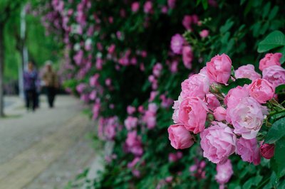 1631445473216094.jpg 1631445473216094.jpg