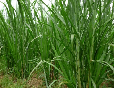 1631453557173353.jpg 1631453557173353.jpg