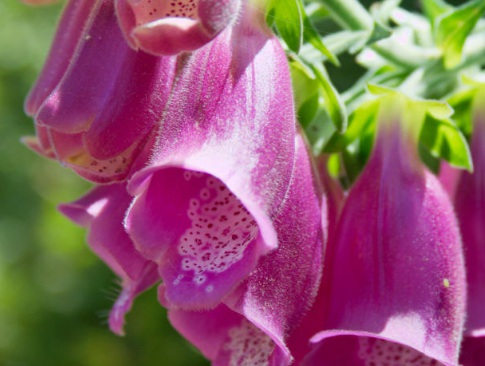 1631454171303744.jpg 1631454171303744.jpg