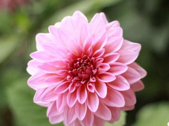 1590487839112009.jpg 744217322a2a46688f81c7983200c021.jpg