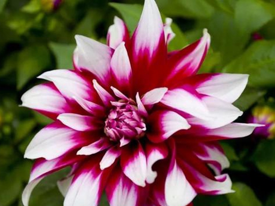 1590487845120185.jpg 60520b7df1d74cc3b44192065de83eb6.jpg