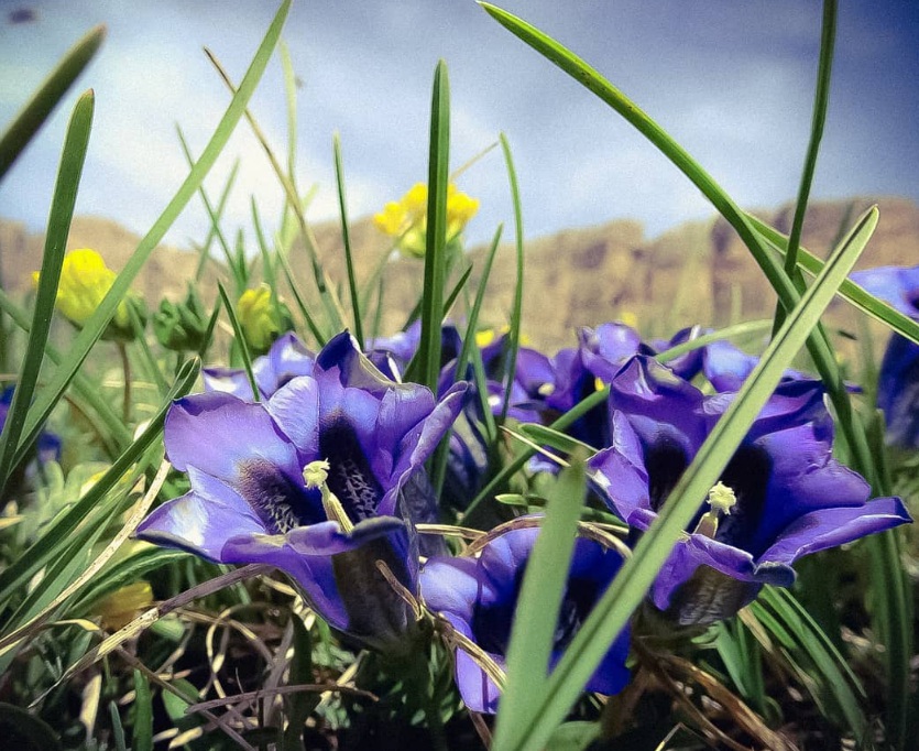 1631500796307882.jpg 1631500796307882.jpg