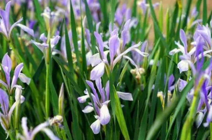 1631515528351133.jpg 1631515528351133.jpg