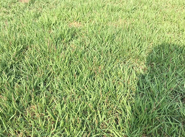 1631524070678596.jpg 1631524070678596.jpg