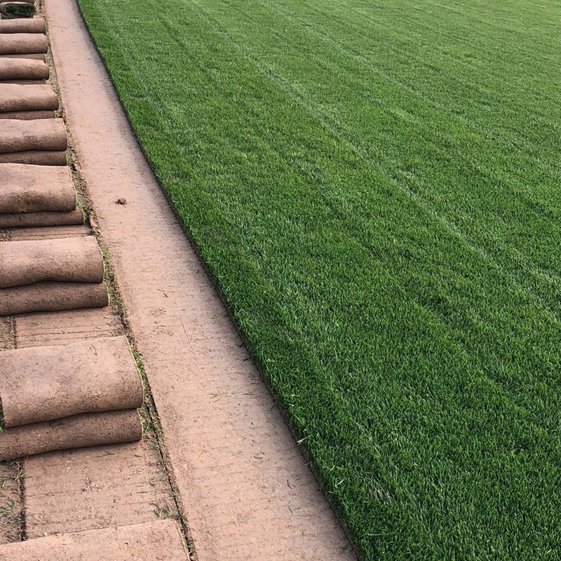 1631524838831649.jpg c2b768b37e07dfd8f06ab689c7aaedfc_7d23ca30a46889345ec782042fec4e0b.jpg