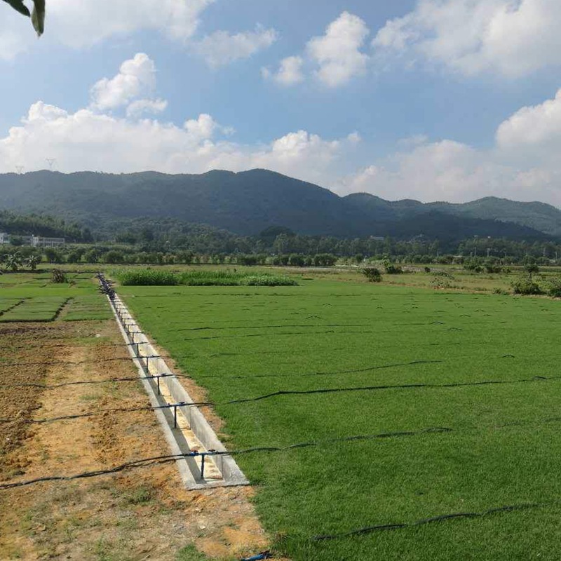 1631585655457260.jpg 13eb41a3c8c624da69d06adf2efd495f_1584590432509685.jpg